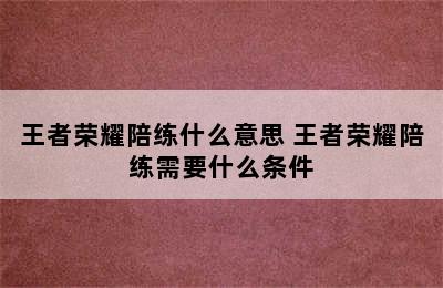 王者荣耀陪练什么意思 王者荣耀陪练需要什么条件